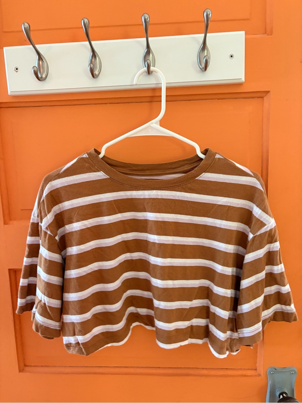 Urban Outfitters Striped Brown, Pink and White Cropped Tee - Women